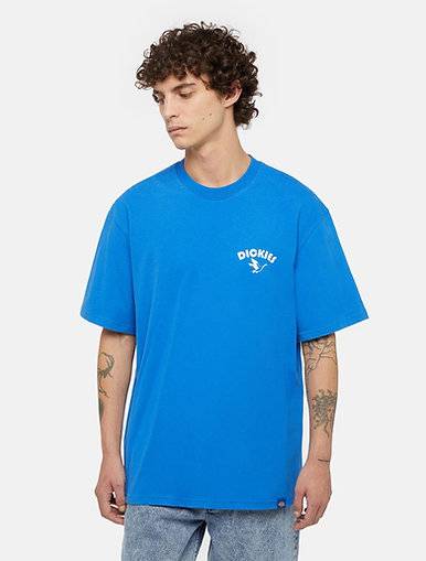 TSHIRT GOOSE / DICKIES 